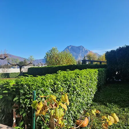 Lägenhet Mit Traunsteinblick *